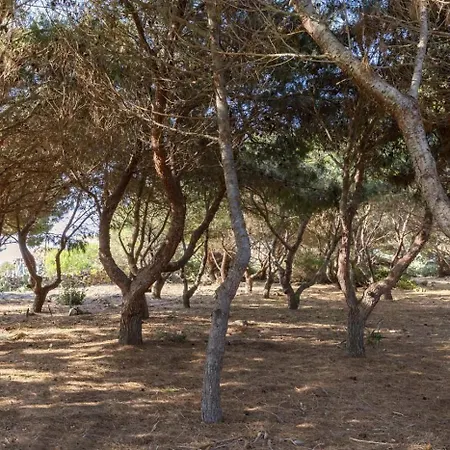 Le Pigne Villa