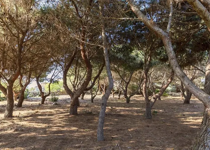 Le Pigne فيلة